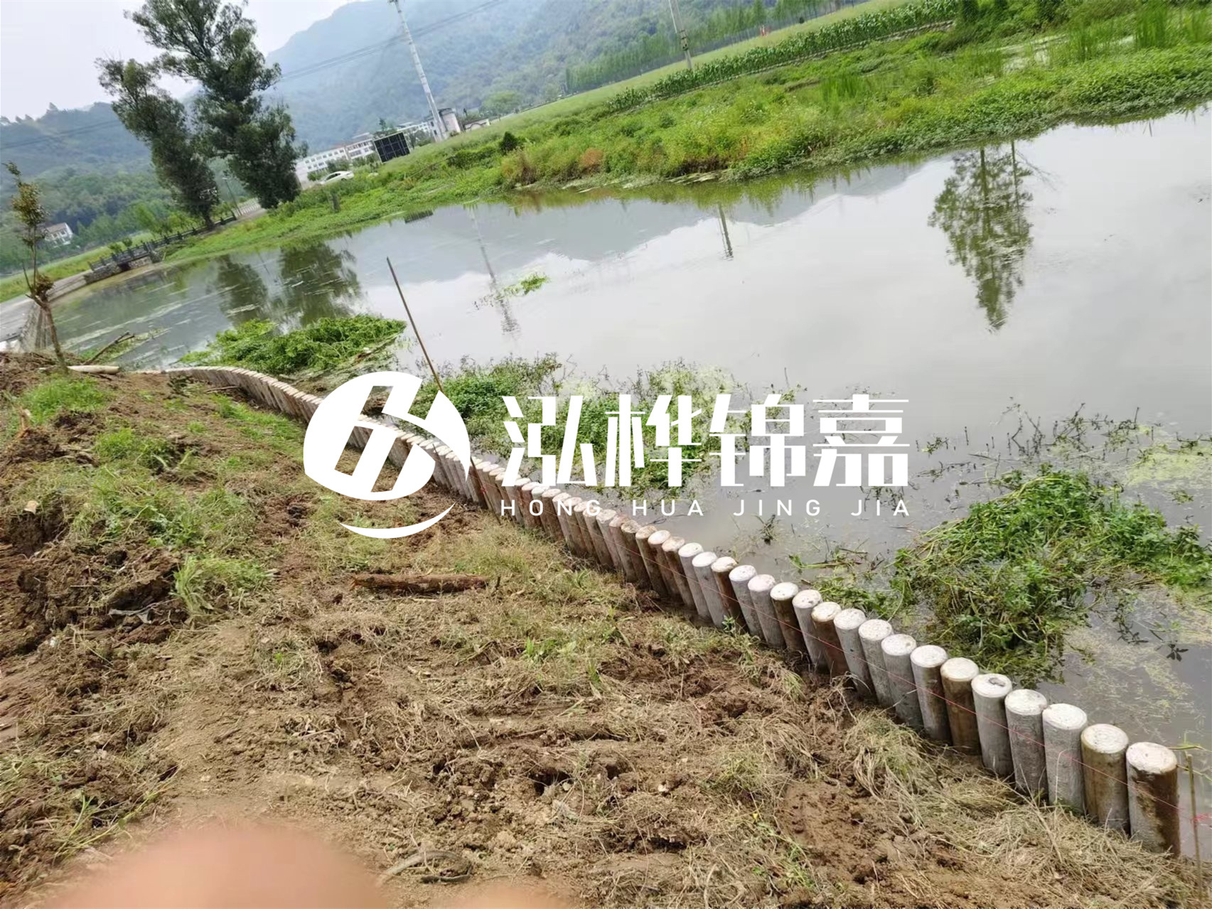 松木樁加固河道與水泥樁對比如何？哪一種更加適合您？