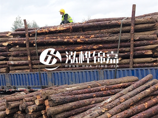 防洪防汛用松木樁的單價是多少？4米長10公分多少錢一根？