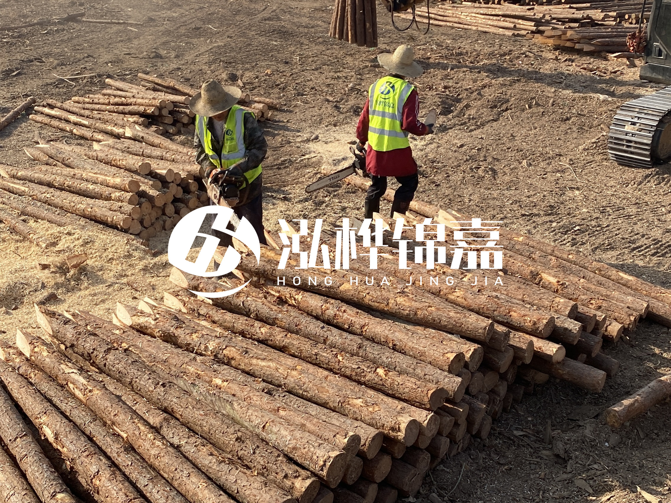 河道木樁報(bào)價(jià)在汛期前后會有波動嗎？什么時候買最便宜？