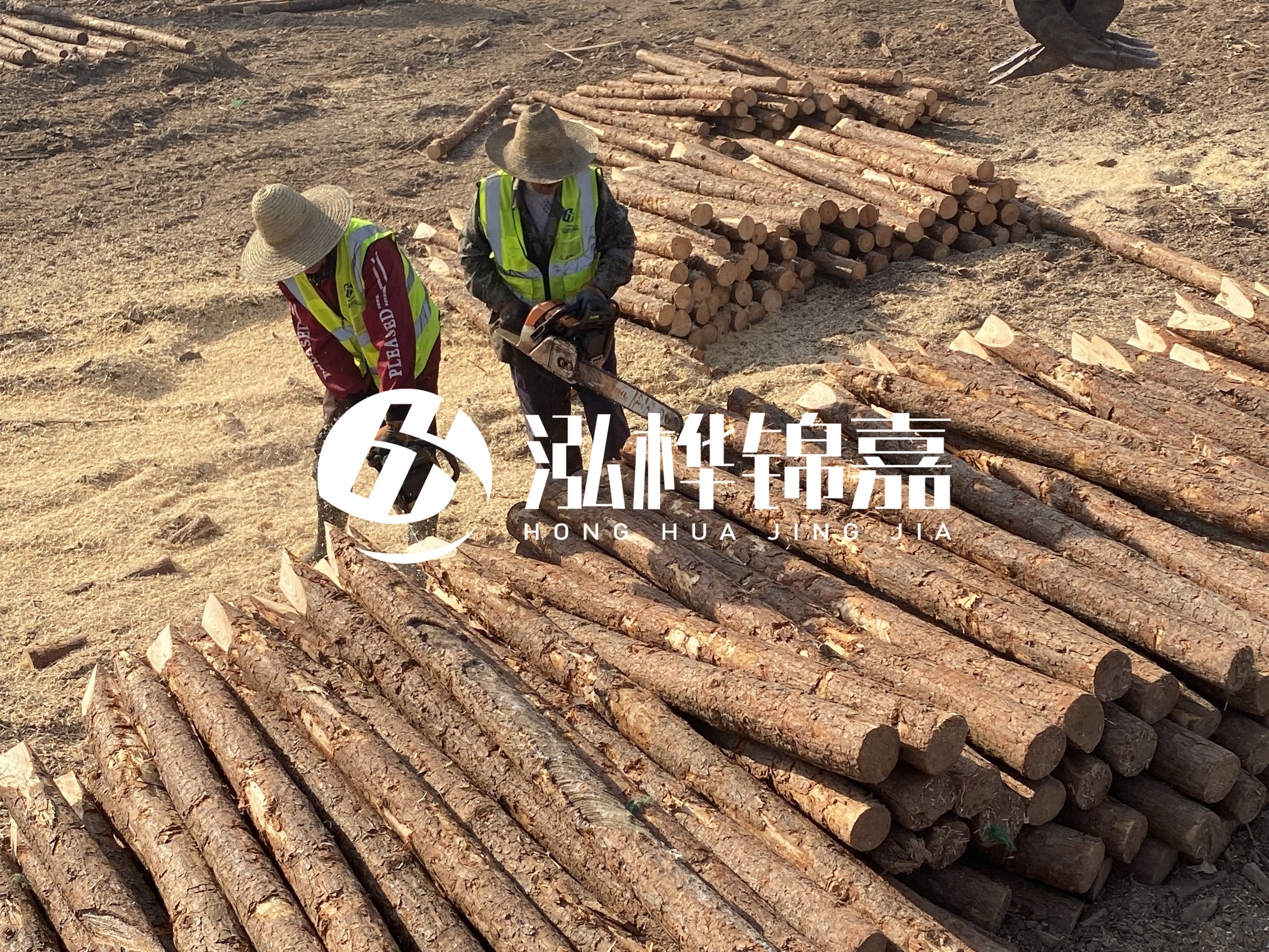 河北打樁木廠家主要生產(chǎn)哪些材質(zhì)的打樁木？產(chǎn)品有哪些規(guī)格？