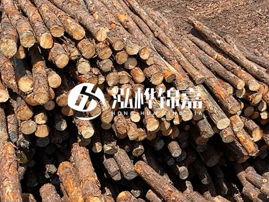 江西有哪些松木樁生產(chǎn)廠家？松木樁廠在什么位置？