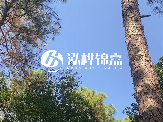 松木樁廠家的供貨能力強(qiáng)不強(qiáng)-怎么才能聯(lián)系到松木樁廠家？