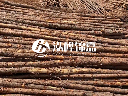 10公分的木材多少根為一方 - 4米10公分樹多少根為一方？