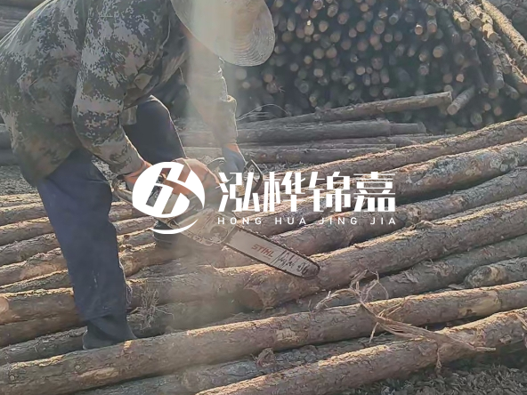 廣東打樁木源頭廠家泓樺錦嘉 - 如何選擇適合特定邊坡的松木樁？