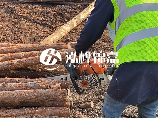 河道打木樁多少錢(qián)一根？5米直徑10松木樁打樁多少錢(qián)？