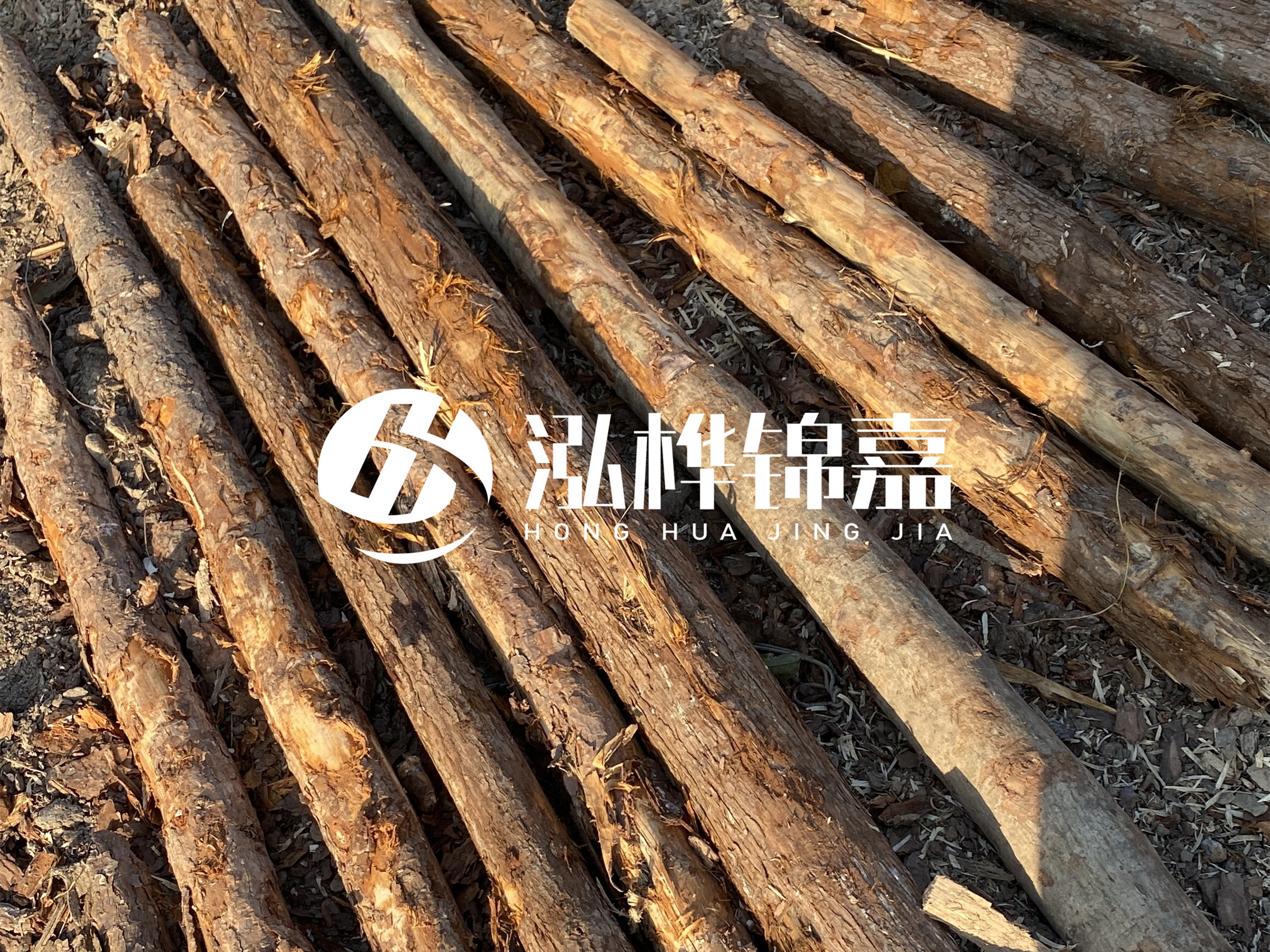 河道木樁多少錢一根？河道木樁的使用以及保養(yǎng)方法?