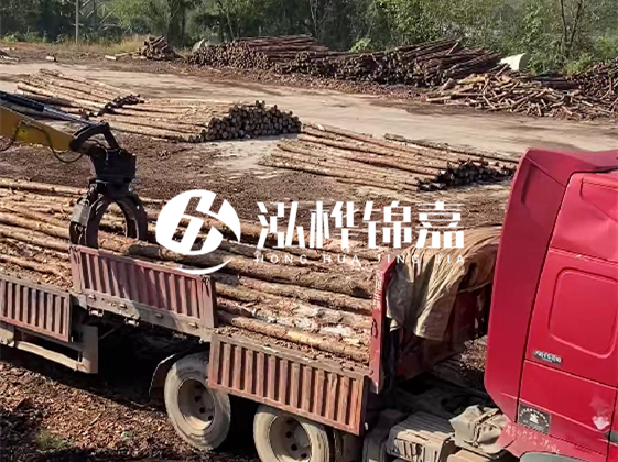 四川松木樁廠家泓樺錦嘉-哪一種打樁木最便宜？