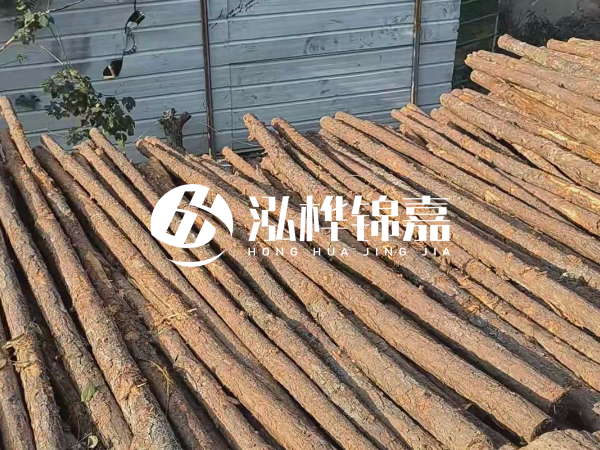 松木樁打樁后清淤怎么處理？有沒有全包的公司？