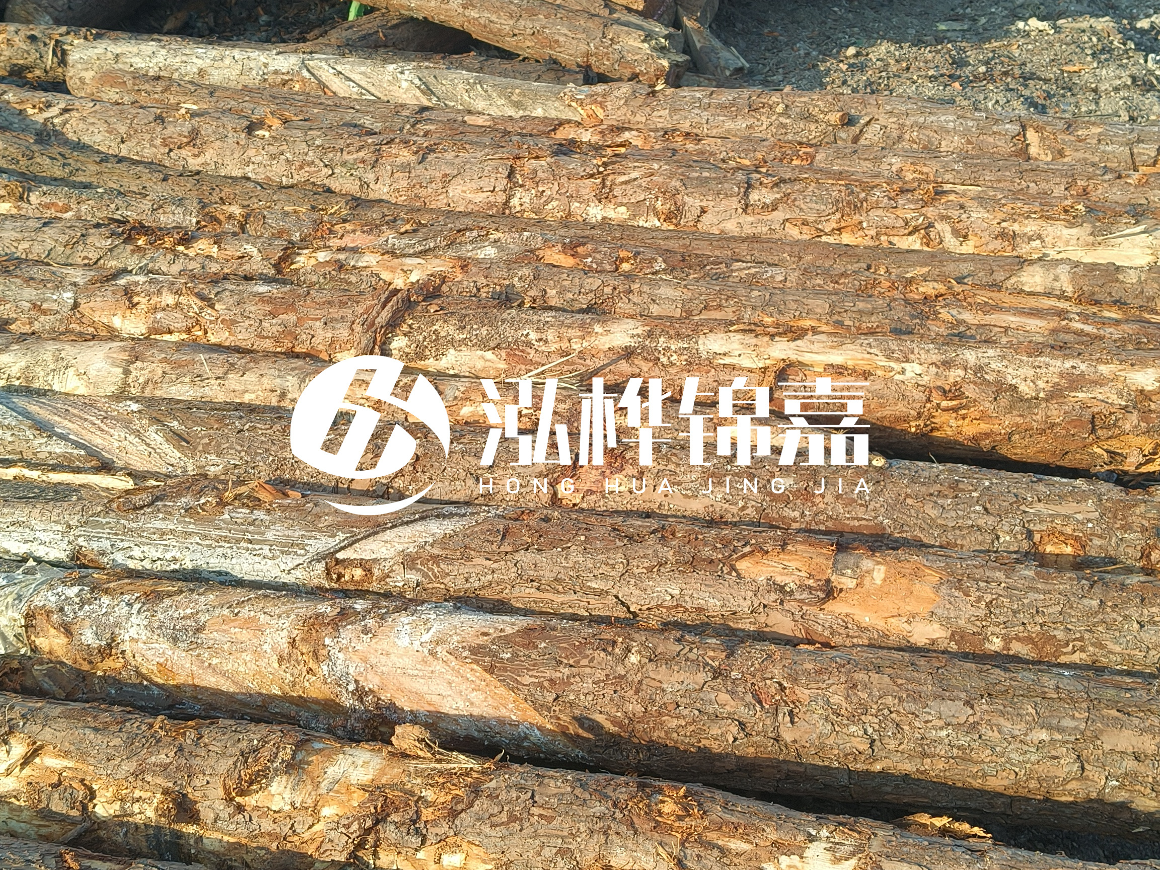 河道木樁的含水率過高會有什么問題？怎么檢查松木樁含水率？