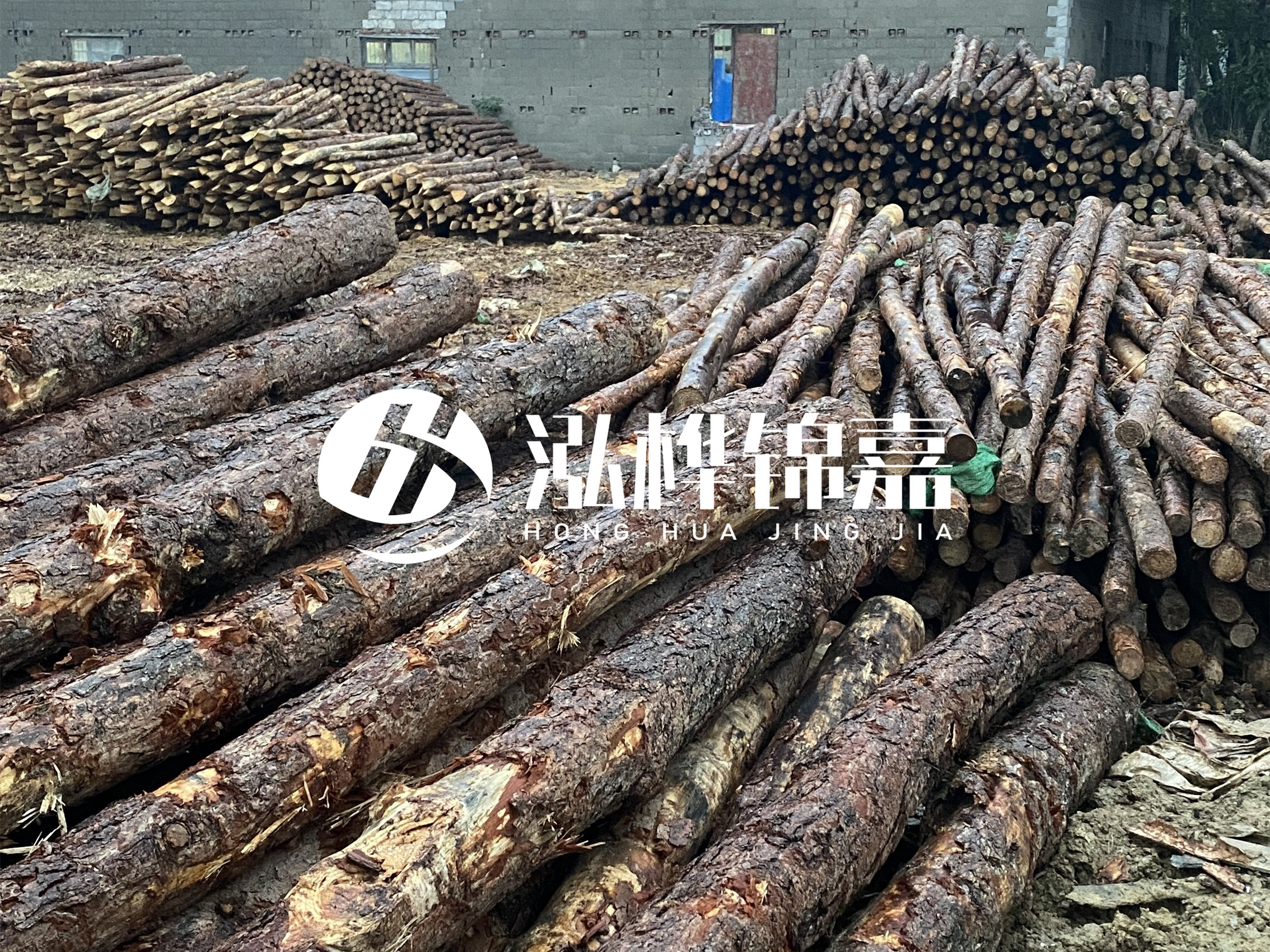 松木樁批發(fā)廠家泓樺錦嘉 - 河道松木樁如何選擇優(yōu)質(zhì)木材？