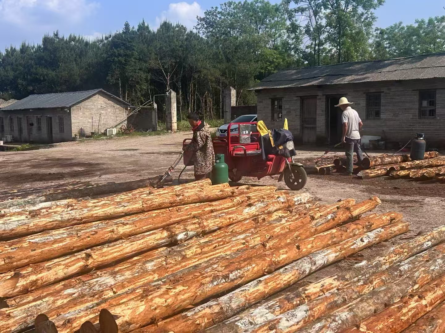 松木樁批發(fā)廠家泓樺錦嘉-圍堰松木樁為什么要交錯(cuò)排列？