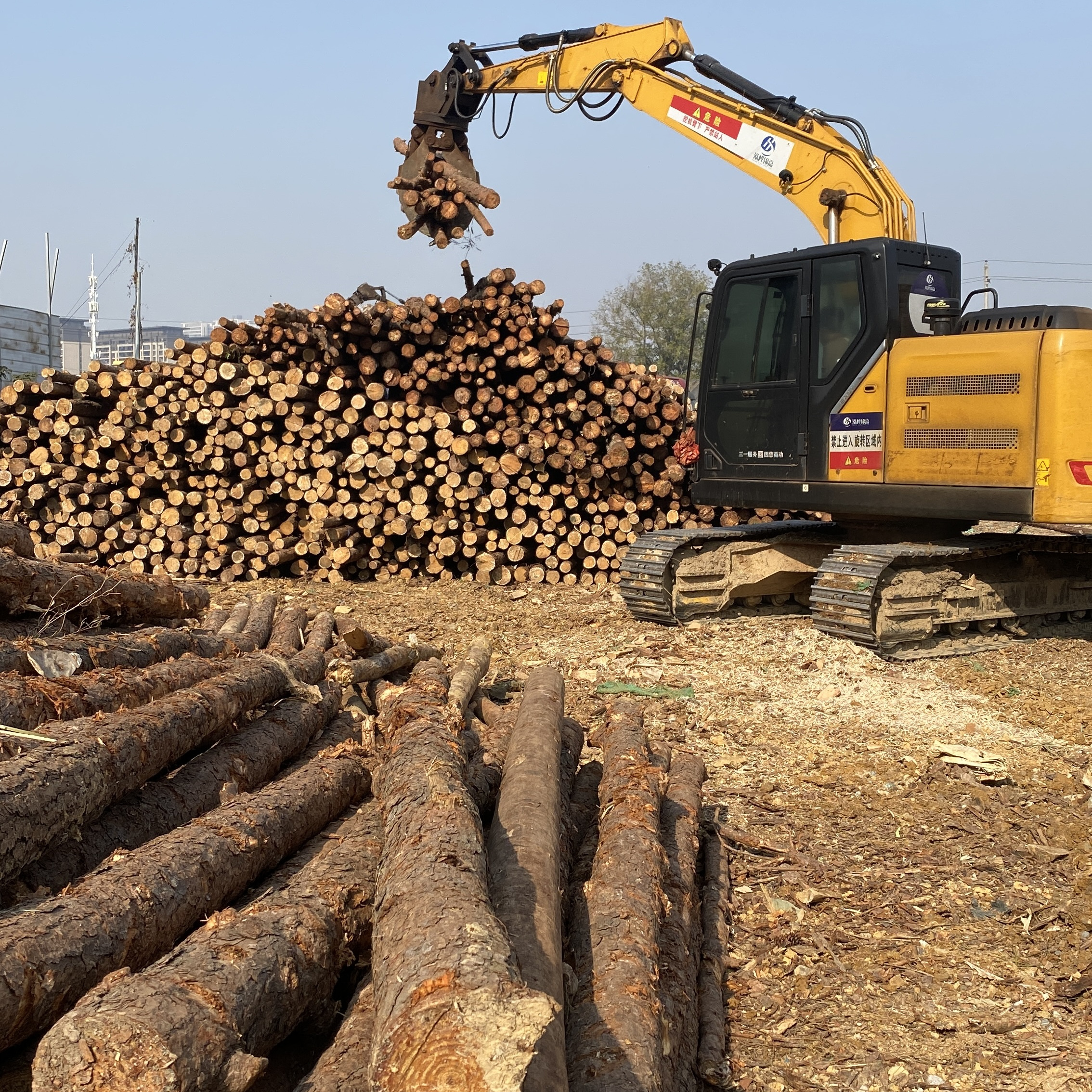 松木樁廠家泓樺錦嘉-濕地松原木的價格大概是多少？