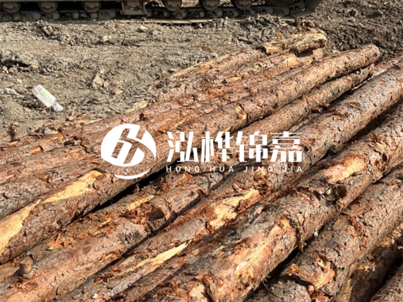 松木樁廠家泓樺錦嘉-原木松木樁的材質(zhì)是落葉松還是濕地松好？