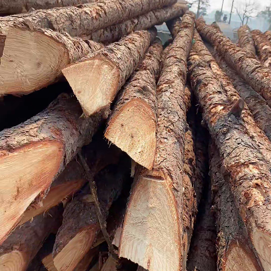 松木樁施工隊(duì)泓樺錦嘉 - 原木松木樁怎么辨別是否為實(shí)心？