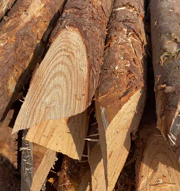 松木樁施工隊(duì)泓樺錦嘉 - 原木松木樁的最低起訂量是多少？