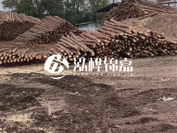 松木樁施工隊泓樺錦嘉-河道駁岸樁選擇松木還是水泥材質(zhì)更合適？