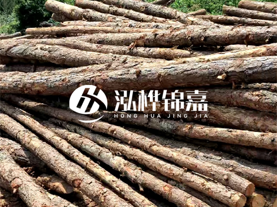 松木樁施工隊泓樺錦嘉 - 松木樁施工起什么效果？