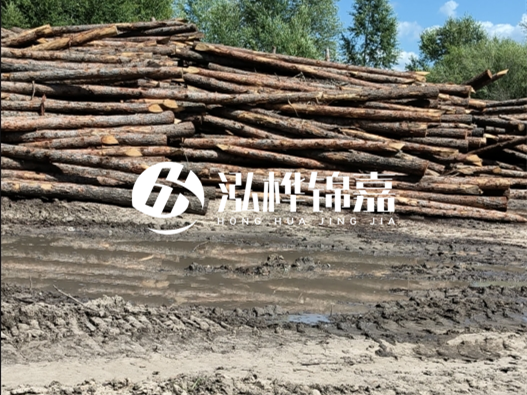 松木樁施工隊泓樺錦嘉 - 木頭打樁護岸能用多長時間？