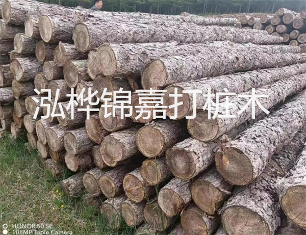 高效修補(bǔ)，保駕護(hù)航！水泥路面高強(qiáng)度修補(bǔ)料為您解決煩惱！