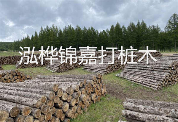 預(yù)制松木樁施工工藝：優(yōu)質(zhì)材料，高效快速，堅(jiān)固耐用