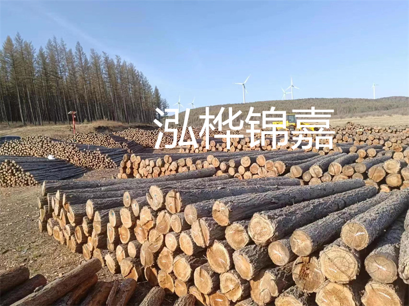 用路基松木樁施工方案提升工程質(zhì)量描述：了解路基松木樁施工方案的重要性，提高工程質(zhì)量關(guān)鍵詞：路基松木樁，施工方案，工程質(zhì)量