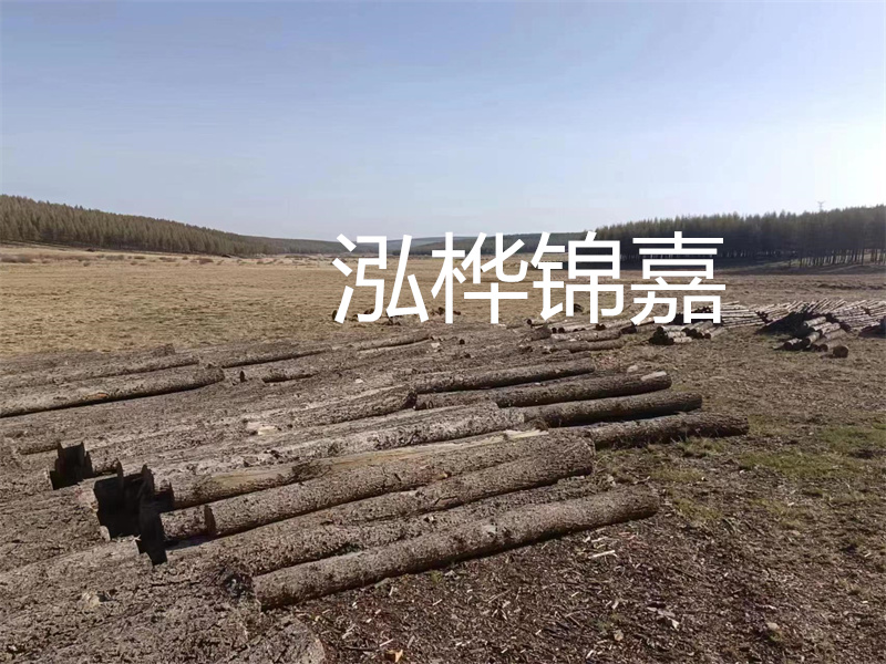 鄂州松木樁哪里好？推薦泓樺錦嘉松木樁業(yè)！